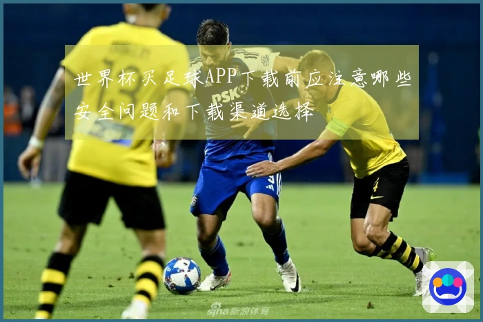 世界杯买足球APP下载前应注意哪些安全问题和下载渠道选择