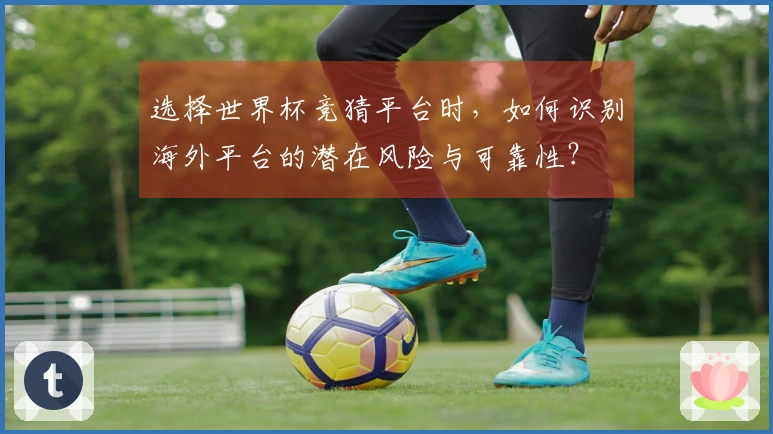 选择世界杯竞猜平台时，如何识别海外平台的潜在风险与可靠性？
