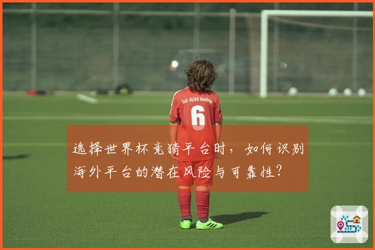 选择世界杯竞猜平台时，如何识别海外平台的潜在风险与可靠性？